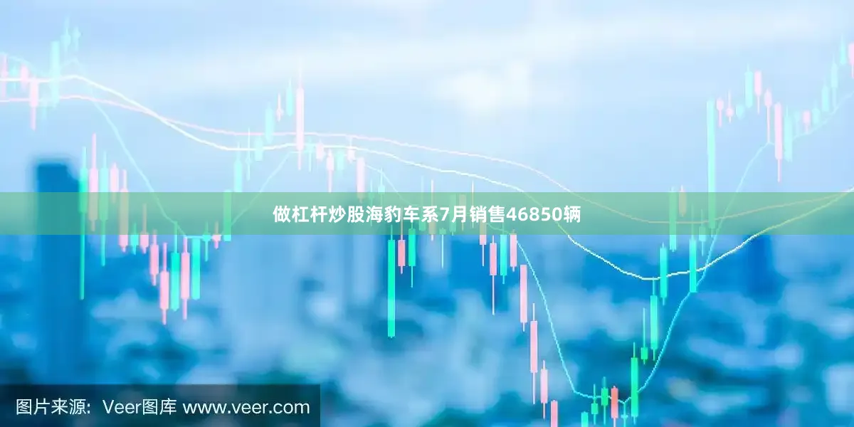 做杠杆炒股海豹车系7月销售46850辆